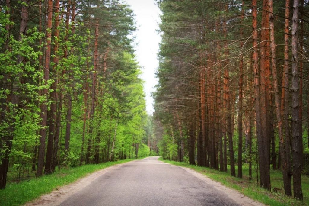 Купить Участок В Красново Тверь